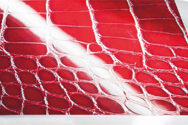 Roland VersaStudio BD-8 - Imprimante UV (210mm)